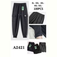 Купить Штаны спорт Giang A2421-1 grey на obuv-plus.com.ua