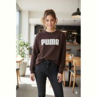 Купить Свитер Newe NW24 brown на obuv-plus.com.ua