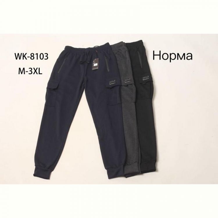 Купить Штаны спорт Hoan WK8103 black на obuv-plus.com.ua
