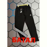 Купить Штаны спорт Alex Clothes 4873 black на obuv-plus.com.ua