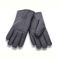 Купить Перчатки YLZL R303 black на obuv-plus.com.ua