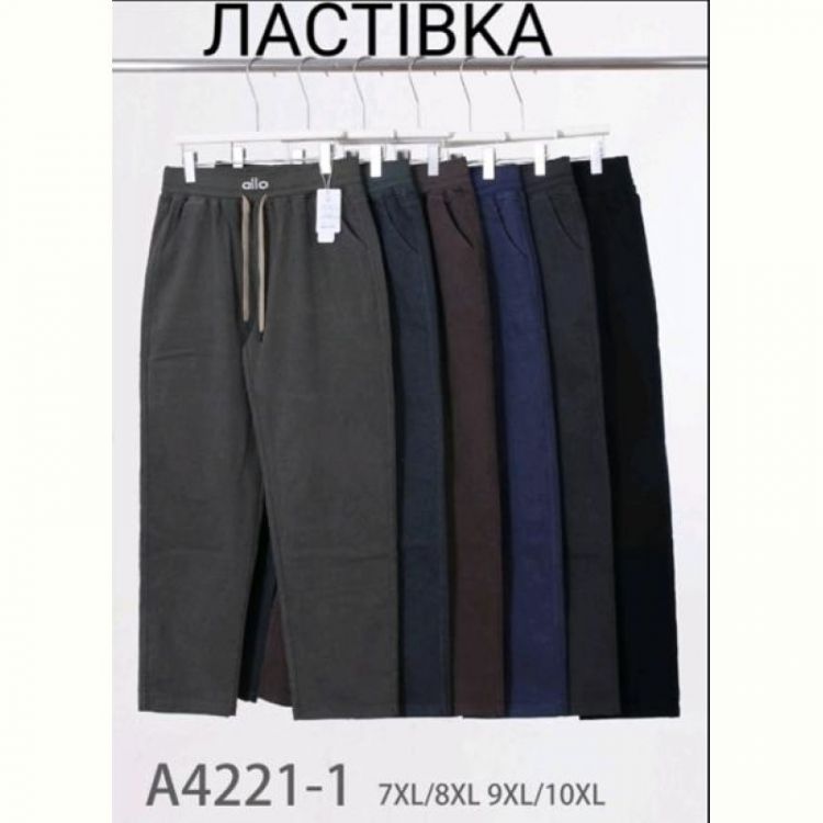 Купить Штаны Hoan A4221-1 mix на obuv-plus.com.ua