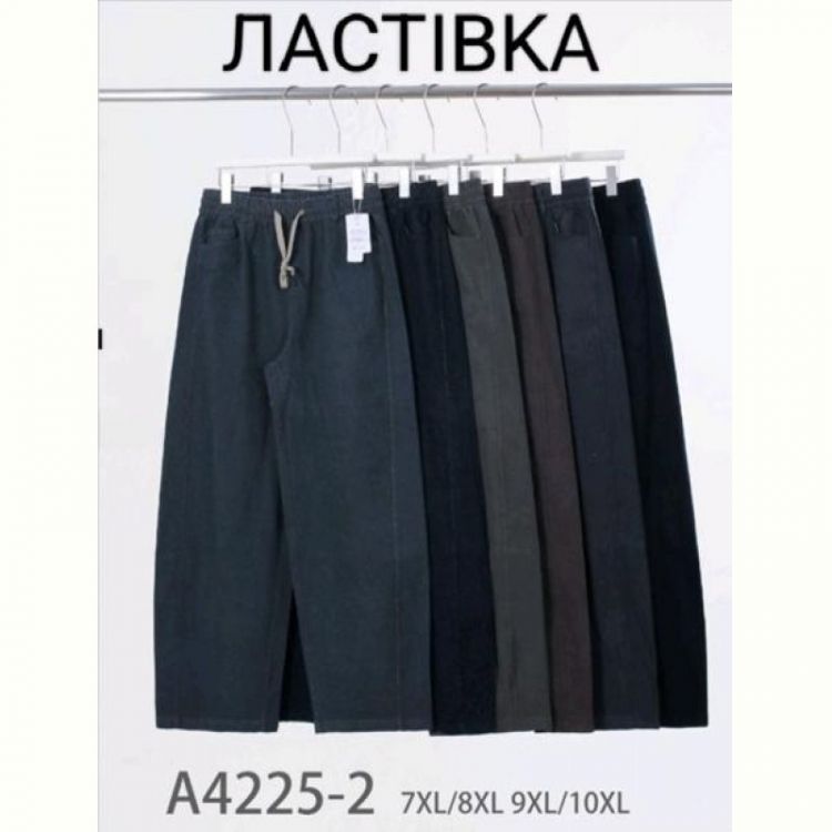 Купить Штаны Hoan A4225-2 mix на obuv-plus.com.ua