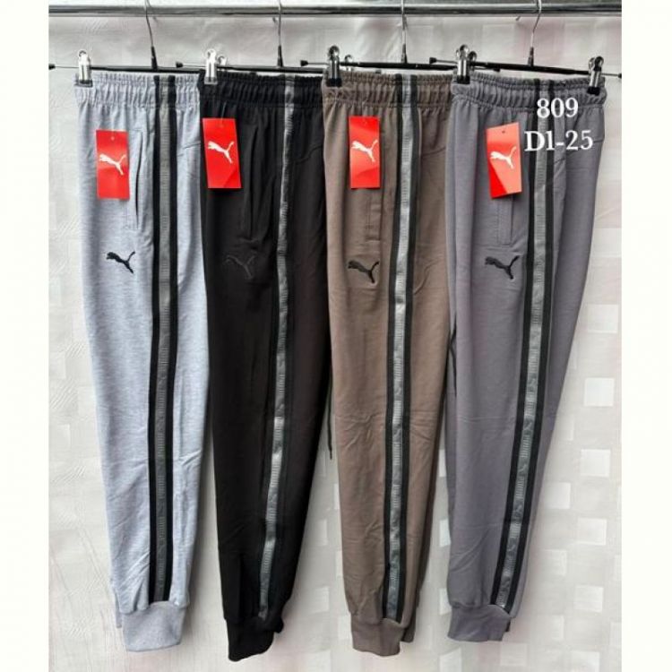 Купить Штаны спорт Shon S2362 grey на obuv-plus.com.ua