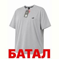 Купить Футболка Alex Clothes 14342 grey на obuv-plus.com.ua