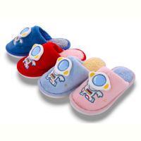 Купить Тапочки Sanlin2 HC8 mix на obuv-plus.com.ua