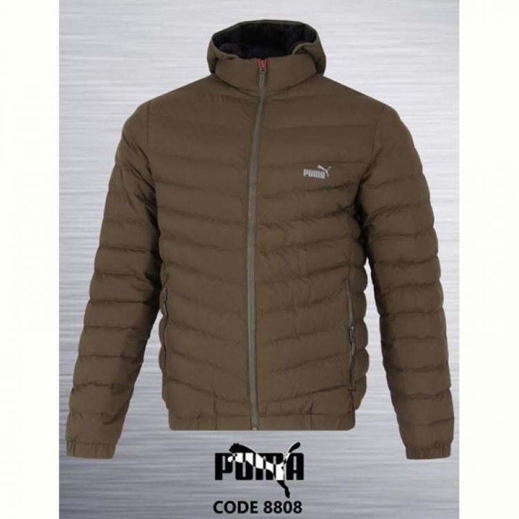 Купить Куртка AZT AZ162-8808 khaki на obuv-plus.com.ua
