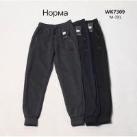 Купить Штаны спорт Hoan WK7309 navy на obuv-plus.com.ua