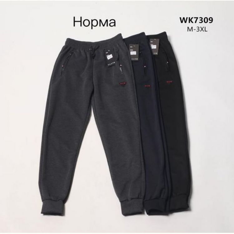 Купить Штаны спорт Hoan WK7309 navy на obuv-plus.com.ua