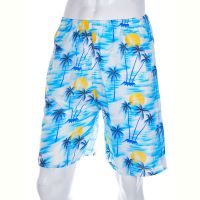 Купить Шорты Meisty 777-7 blue на obuv-plus.com.ua