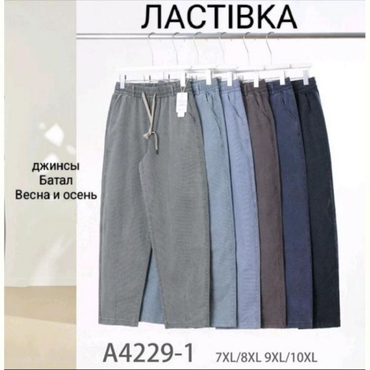Купить Штаны Hoan A4229-1 mix на obuv-plus.com.ua