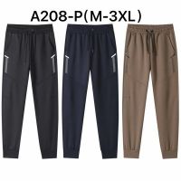 Купить Штаны спорт Ale-Ate A208P grey на obuv-plus.com.ua
