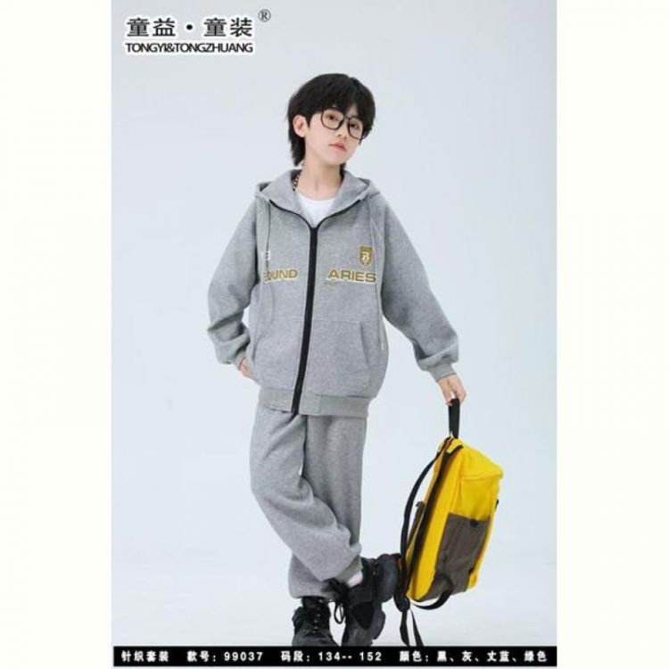 Купить Костюм спорт Delfinka 99037 grey на obuv-plus.com.ua