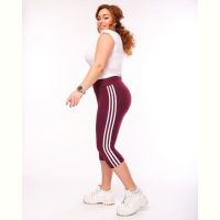 Купить Бриджи Sport style 066 wine-old-1 на obuv-plus.com.ua