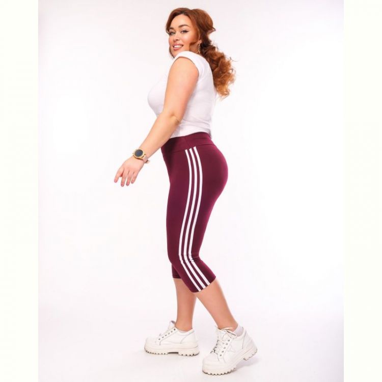 Купить Бриджи Sport style 066 wine-old-1 на obuv-plus.com.ua