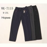 Купить Штаны спорт Hoan WK7115 navy на obuv-plus.com.ua