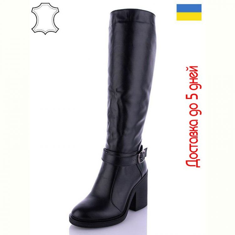 Купить Сапоги Arto 850  ч-к на obuv-plus.com.ua