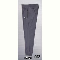 Купить Штаны спорт AZT AZ361-1 grey на obuv-plus.com.ua