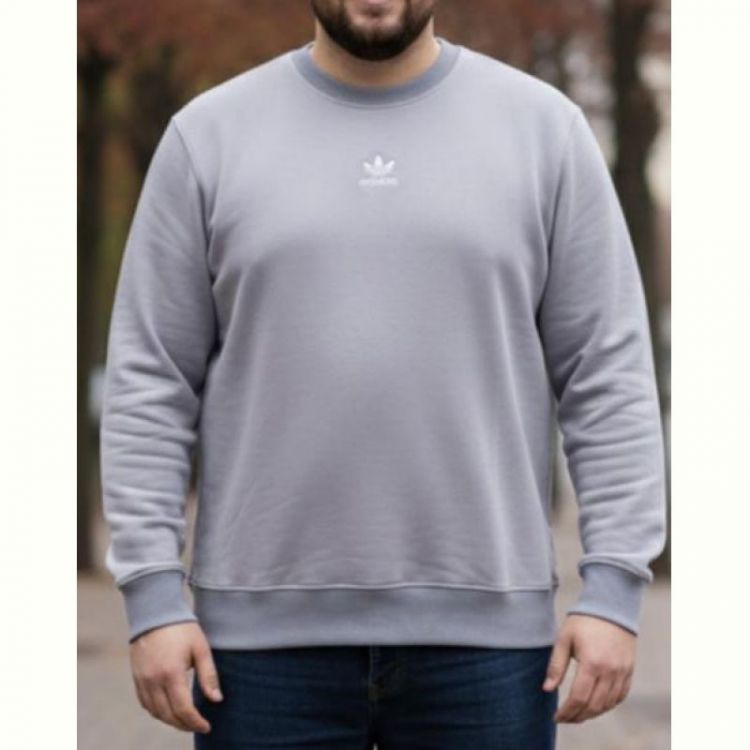 Купить Свитер Zalov ZW1257 l.grey на obuv-plus.com.ua