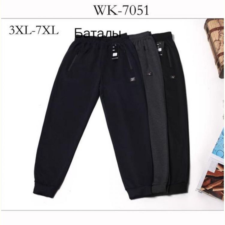 Купить Штаны спорт Hoan WK7051 grey на obuv-plus.com.ua