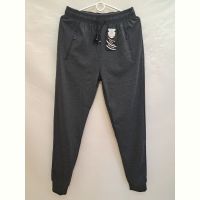 Купить Штаны спорт Giang 7010 grey на obuv-plus.com.ua