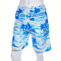 Купить Шорты Meisty 777-11 blue на obuv-plus.com.ua