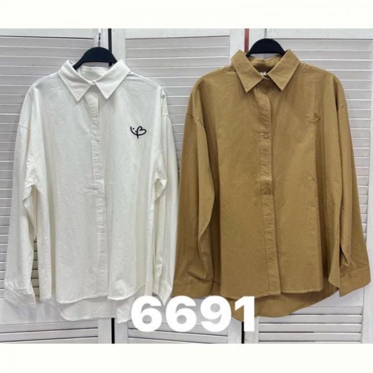 Купить Рубашка DIVO 6691 white на obuv-plus.com.ua