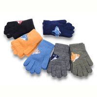 Купить Перчатки YLZL D158 mix на obuv-plus.com.ua