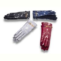 Купить Перчатки YLZL 304-2 mix на obuv-plus.com.ua