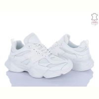 Купить Кроссовки Stilli NB300-11 шкіра піна на obuv-plus.com.ua