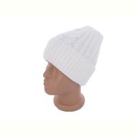 Купить Шапка Red Hat clothes SA1322-2 на obuv-plus.com.ua