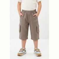 Купить Шорты Malibu2 270 brown на obuv-plus.com.ua