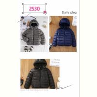 Купить Куртка Farbique 2530 grey на obuv-plus.com.ua