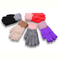 Купить Перчатки YLZL 0152 mix на obuv-plus.com.ua