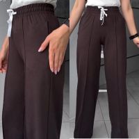 Купить Штаны спорт Sport style 10048 brown-old-1 на obuv-plus.com.ua