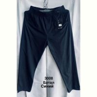 Купить Штаны спорт Minh 3008 navy на obuv-plus.com.ua