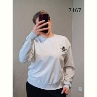 Купить Свитер FSN 7167 l.grey на obuv-plus.com.ua