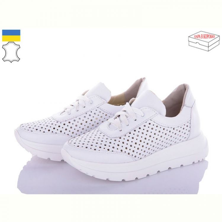 Купить Кроссовки Arto 180 белый-перф на obuv-plus.com.ua