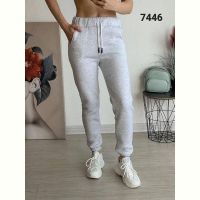 Купить Штаны спорт FSN 7446 grey на obuv-plus.com.ua