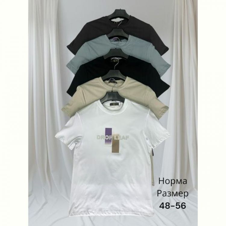 Купить Футболка Hai H1419 d.grey на obuv-plus.com.ua