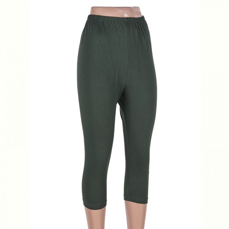 Купить Бриджи Viola B91 green (2XL) на obuv-plus.com.ua