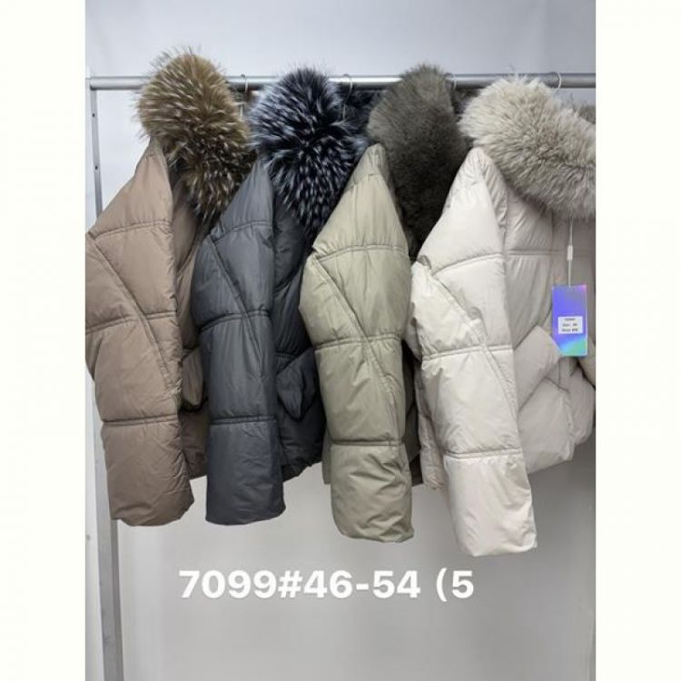 Купить Куртка Jacket 7099 l.grey на obuv-plus.com.ua