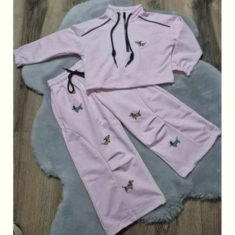 Купить Костюм спорт Limerense DD164 pink на obuv-plus.com.ua