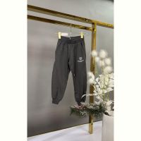 Купить Штаны спорт Delfinka 88160 grey на obuv-plus.com.ua