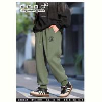Купить Штаны спорт Delfinka 88170 khaki на obuv-plus.com.ua