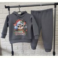 Купить Костюм спорт Proschenko PR648 grey на obuv-plus.com.ua