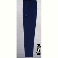 Купить Штаны спорт AZT AZ500-1190 blue на obuv-plus.com.ua
