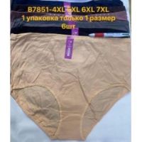 Купить Трусы Redoor B7851 mix (5XL) на obuv-plus.com.ua