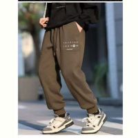 Купить Штаны спорт Delfinka 88210 brown на obuv-plus.com.ua