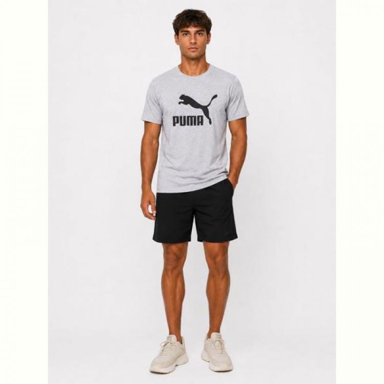 Купить Футболка Zalov ZW1905 l.grey на obuv-plus.com.ua